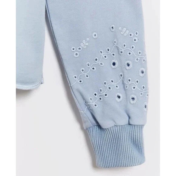 Women’s Anthropologie Wendy Eyelet Sweater Sweatshirt Large - Picture 3 of 9